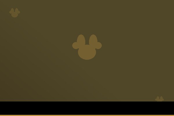 Senior Pet Care: What Changes After Age 7